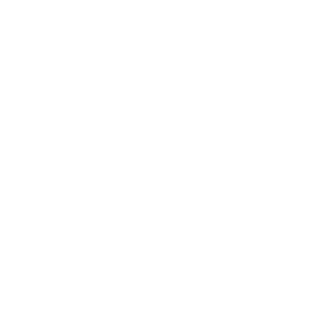 Performance Coaching